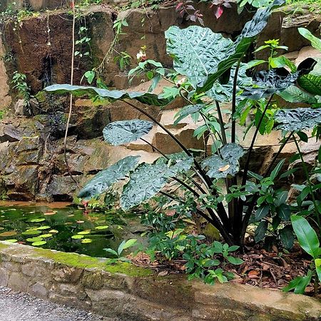 Pinnacle Of Everything Kandy Luaran gambar